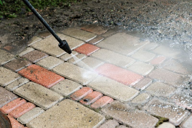 Paver Cleaning And Sealing detail