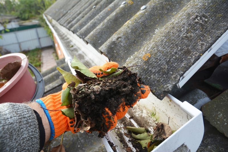 Gutter Leaf Clearing in Annapolis, MD